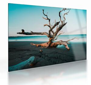 Staklena slika - Naplavine na plaži (70x50 cm)