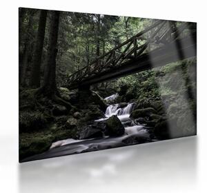Staklena slika crne šume (70x50 cm)