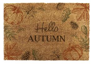 Otirač od kokosovih vlakana 40x60 cm Hello Autumn – Artsy Doormats