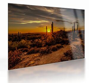 Staklena slika - Kraj dana u pustinji Arizona (70x50 cm)