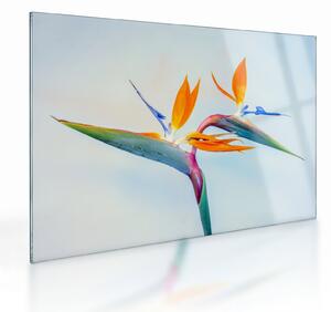 Staklena slika cvijeta Strelicije (70x50 cm)