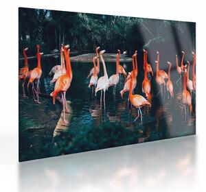 Staklena slika jata flaminga (70x50 cm)