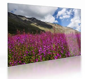Staklena slika pejzaža planinske livade (70x50 cm)