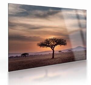 Staklena slika zalaska sunca u Tanzaniji (70x50 cm)