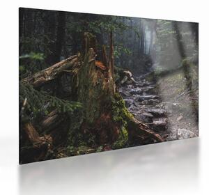 Staklena slika - U šumi (70x50 cm)