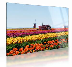 Staklena slika farme tulipana (70x50 cm)