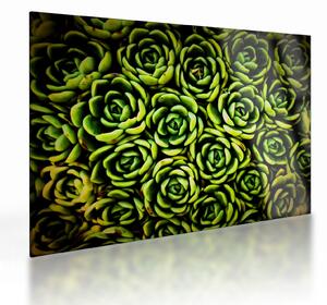 Staklena slika čuvarkuće (70x50 cm)