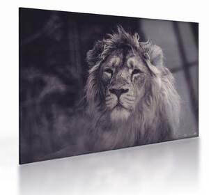 Staklena slika lava (70x50 cm)