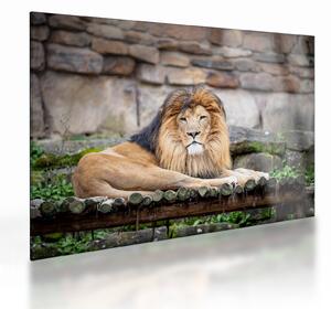 Staklena slika lava (70x50 cm)