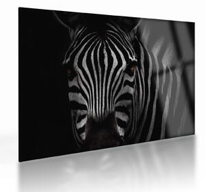Staklena slika zebre (70x50 cm)