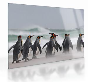 Staklena slika pingvina uz ocean (70x50 cm)