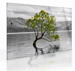 Staklena slika stabla usred jezera (70x50 cm)