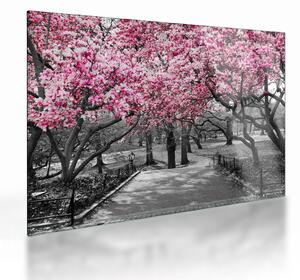 Staklena slika drveća magnolije (70x50 cm)