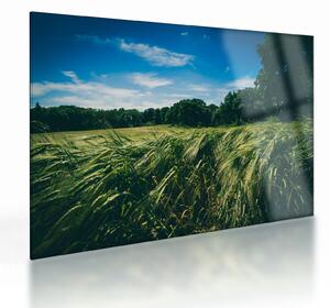 Staklena slika livade i šume (70x50 cm)