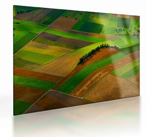 Staklena slika - Polja, livade (70x50 cm)