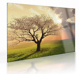 Staklena slika stabla na livadi (70x50 cm)