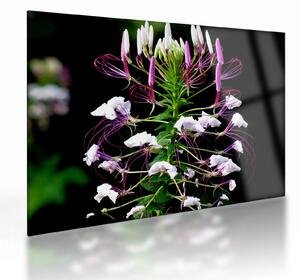 Staklena slika cvijeta (70x50 cm)
