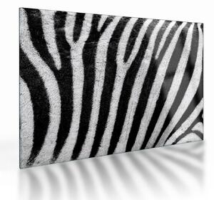 Staklena slika kože zebre (70x50 cm)
