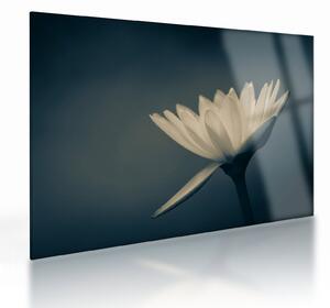 Staklena slika cvijeta (70x50 cm)