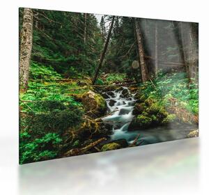 Staklena slika potoka u šumi (70x50 cm)