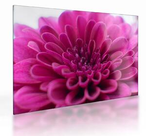Staklena slika cvijeta (70x50 cm)
