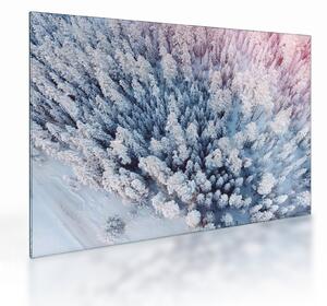 Staklena slika snježnih stabala (70x50 cm)