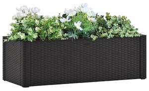 Povišena gredica - Vrtna gredica samozalijevanje antracit 100x43x33 cm - Antracit 100 x 43 x 33 cm 1 1
