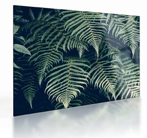 Staklena slika lišća paprati (70x50 cm)