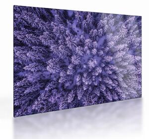 Staklena slika snježnih stabala (70x50 cm)