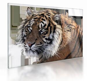 Staklena slika tigra (70x50 cm)