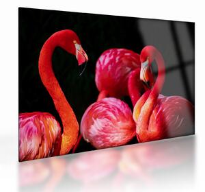 Staklena slika crvenih flaminga (70x50 cm)
