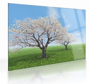 Staklena slika drveća (70x50 cm)