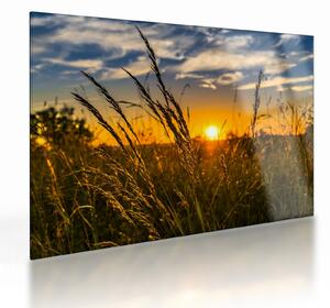 Staklena slika polja pri zalasku sunca (70x50 cm)