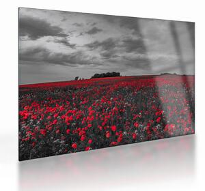 Staklena slika makova (70x50 cm)