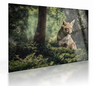 Staklena slika lisice (70x50 cm)