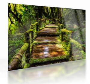 Staklena slika stepenica u prašumi (70x50 cm)