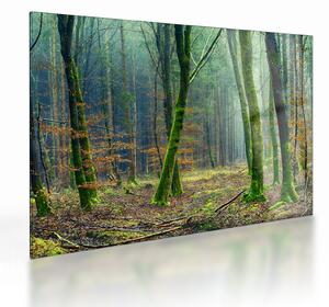 Staklena slika šume (70x50 cm)