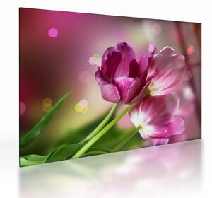 Staklena slika ružičastih tulipana (70x50 cm)