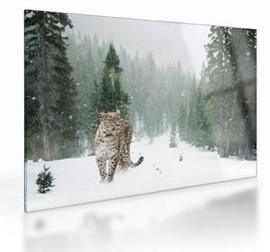 Staklena slika leoparda u snijegu (70x50 cm)