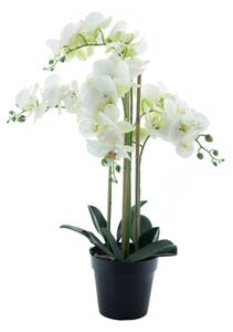 Orhideja bijela 60 cm u tegli (real tocuh) - Bijela - 51 - 70 cm