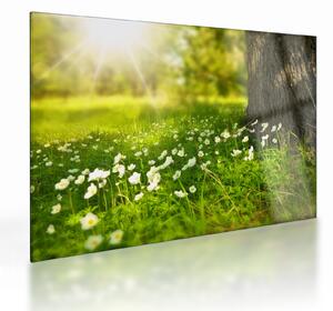 Staklena slika proplanaka i cvijeća (70x50 cm)