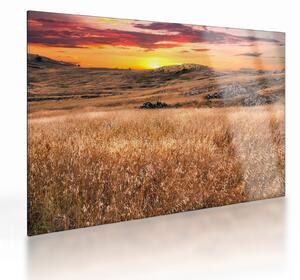 Staklena slika polja (70x50 cm)