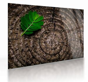 Staklena slika lista na deblu drveta (70x50 cm)