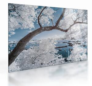 Staklena slika snježnog stabla uz vodu (70x50 cm)