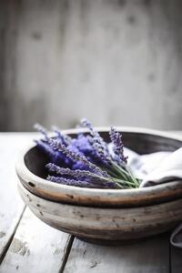Fotografija Lavender In Bowl, Treechild