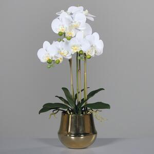 Krem orhideja 64 cm u zlatnoj posudi - 51 - 70 cm