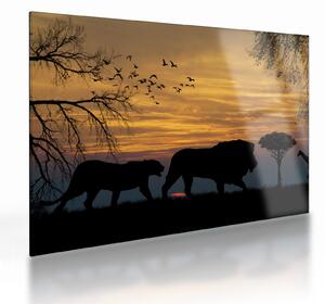 Safari slika (70x50 cm)