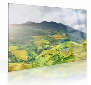 Staklena slika plantaže (70x50 cm)