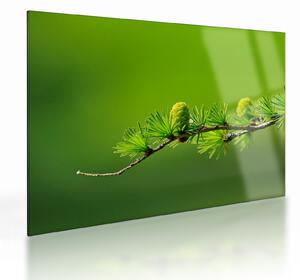 Staklena slika zelenog češera (70x50 cm)