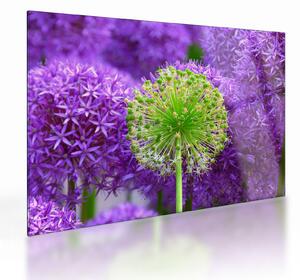 Staklena slika cvijeta (70x50 cm)